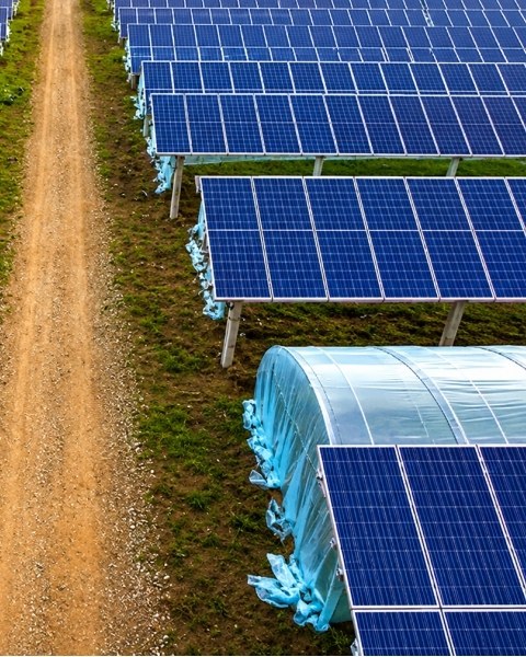 Solar panel for greenhouse
